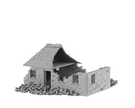 Maison toit de chaume détruite - 12-WWIIED07