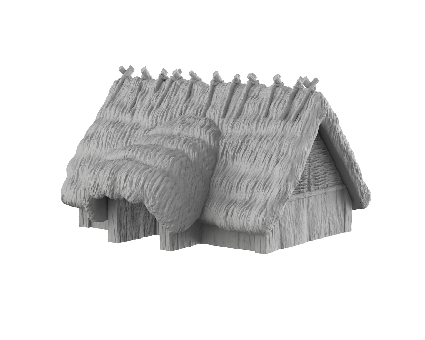 Maison 3 - 04-CELTE02